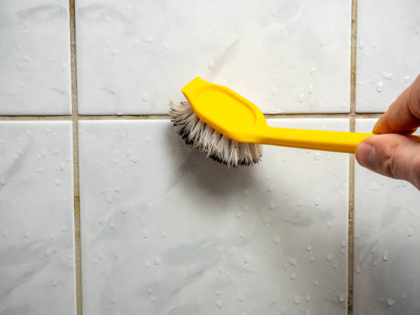Best Fast Mold Removal  in Ilion, NY